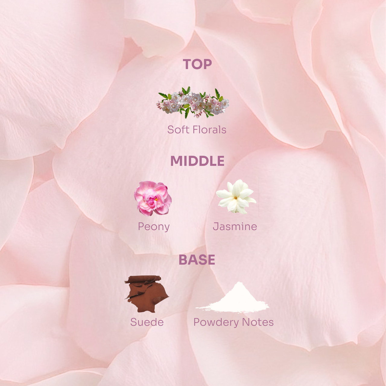 Powder Blush Hair Perfume