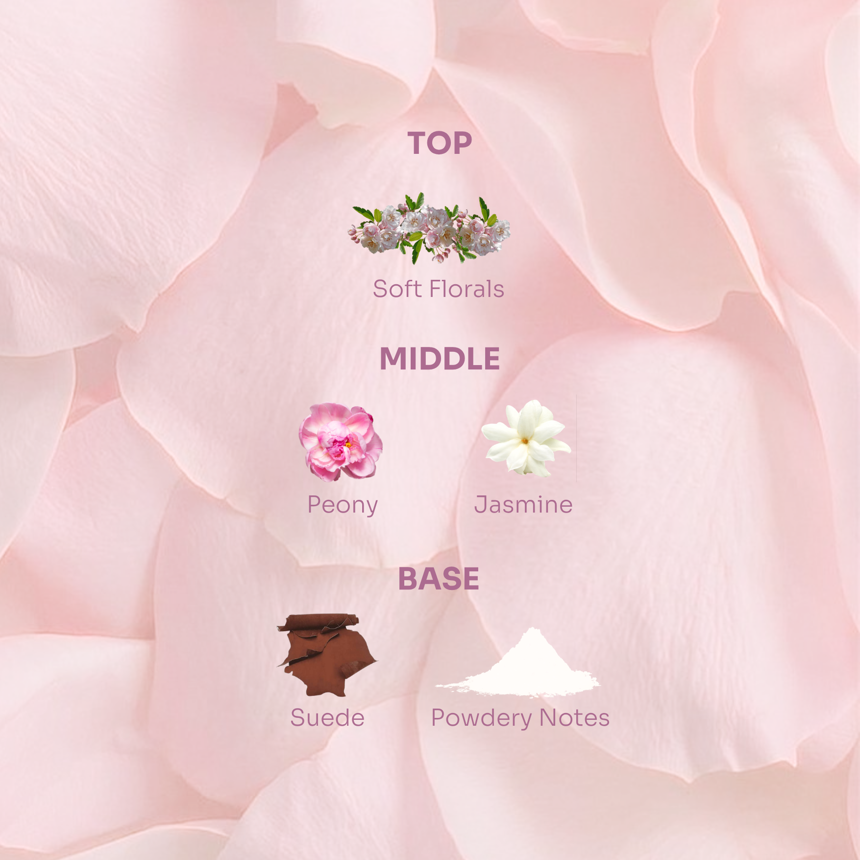 Powder Blush Hair Perfume