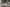 scrolling text